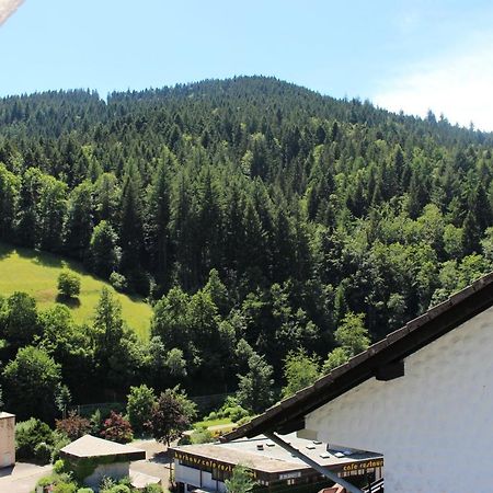 Ferienwohnung Schwarzwaldblick Bad Rippoldsau-Schapbach Eksteriør bilde