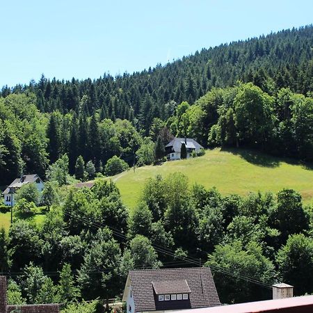 Ferienwohnung Schwarzwaldblick Bad Rippoldsau-Schapbach Eksteriør bilde