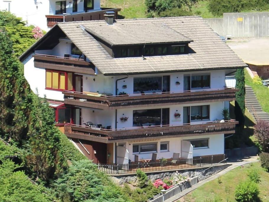 Ferienwohnung Schwarzwaldblick Bad Rippoldsau-Schapbach Eksteriør bilde