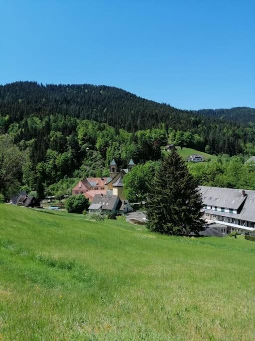 Ferienwohnung Schwarzwaldblick Bad Rippoldsau-Schapbach Eksteriør bilde