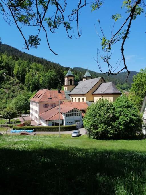 Ferienwohnung Schwarzwaldblick Bad Rippoldsau-Schapbach Eksteriør bilde