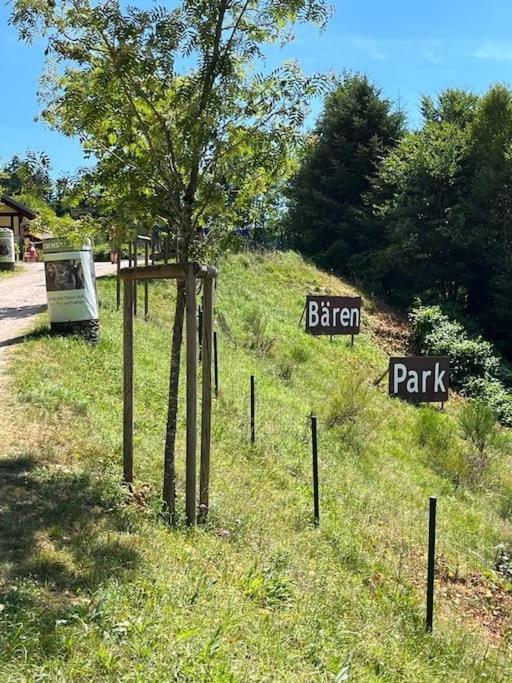 Ferienwohnung Schwarzwaldblick Bad Rippoldsau-Schapbach Eksteriør bilde