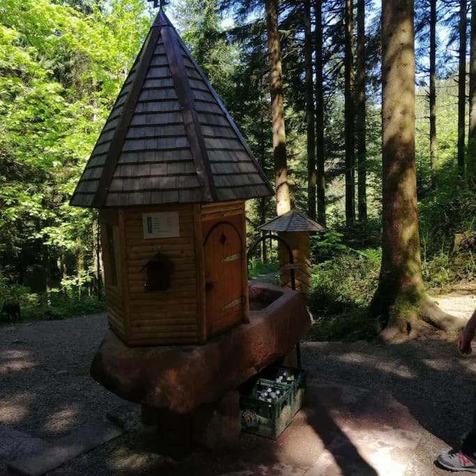 Ferienwohnung Schwarzwaldblick Bad Rippoldsau-Schapbach Eksteriør bilde