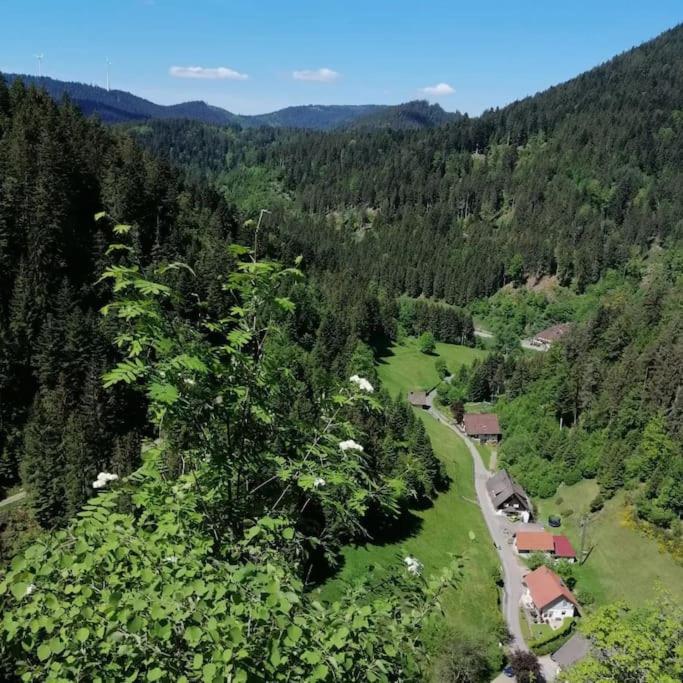 Ferienwohnung Schwarzwaldblick Bad Rippoldsau-Schapbach Eksteriør bilde