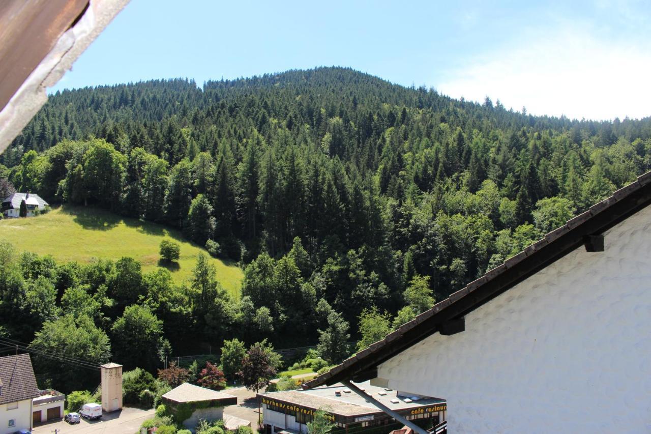 Ferienwohnung Schwarzwaldblick Bad Rippoldsau-Schapbach Eksteriør bilde