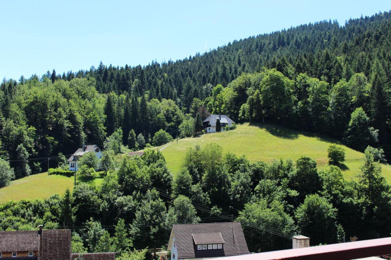 Ferienwohnung Schwarzwaldblick Bad Rippoldsau-Schapbach Eksteriør bilde